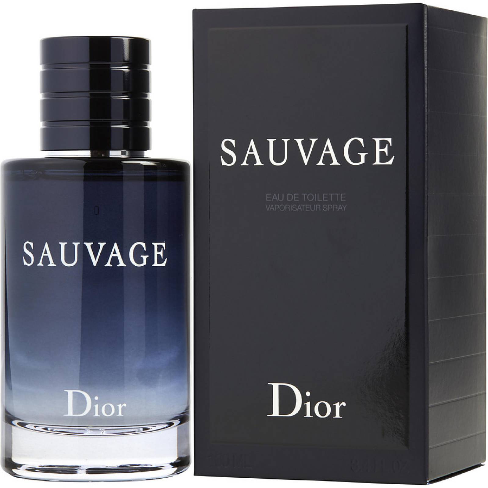 Perfume Christian Dior Eau Sauvage Eau de Toilette Masculino 100ML